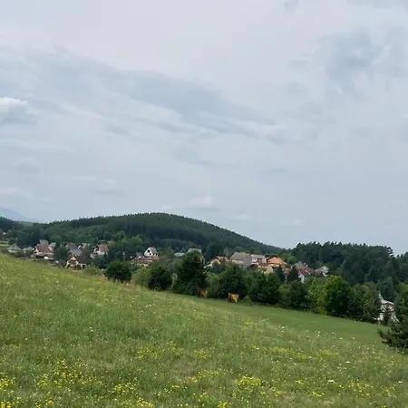 Salvus Panzio Bed & Breakfast Bukkszek