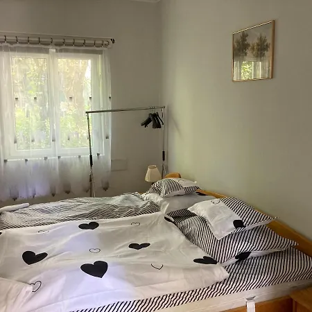 Salvus Panzio 3* Bükkszék