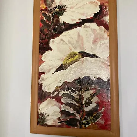 Salvus Panzio Oda ve Kahvaltı 3*